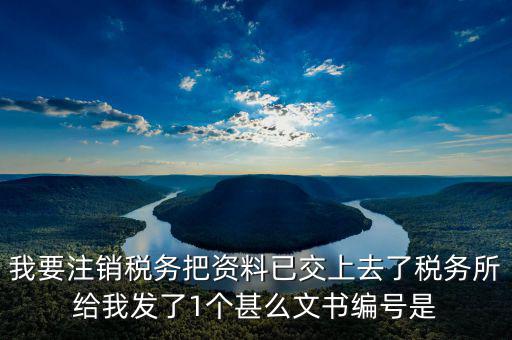 我要注銷稅務把資料已交上去了稅務所給我發(fā)了1個甚么文書編號是