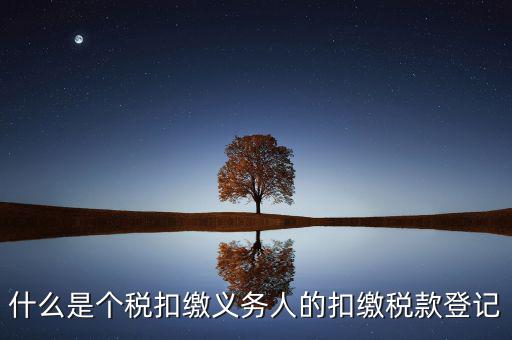 什么是個(gè)稅扣繳義務(wù)人的扣繳稅款登記