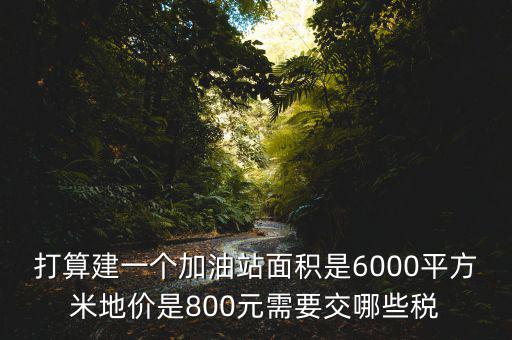 加油站都繳什么稅，打算建一個加油站面積是6000平方米地價是800元需要交哪些稅