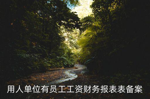 財(cái)務(wù)備案是什么意思，備案是什么意思