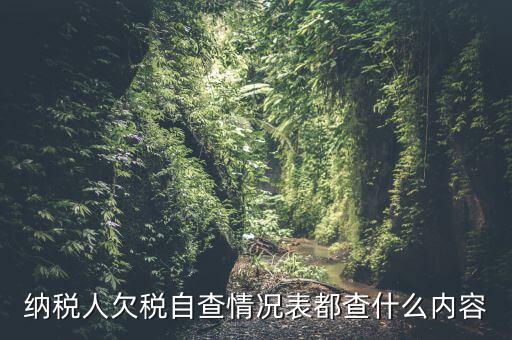 重點(diǎn)納稅人走訪情況表是什么，納稅人自查情況說(shuō)明表里各項(xiàng)都填什么