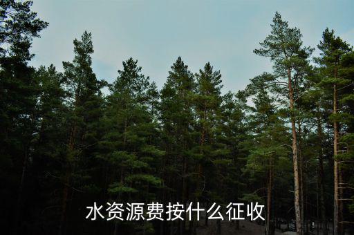 水資源稅實(shí)行什么征收，水資源費(fèi)按什么征收