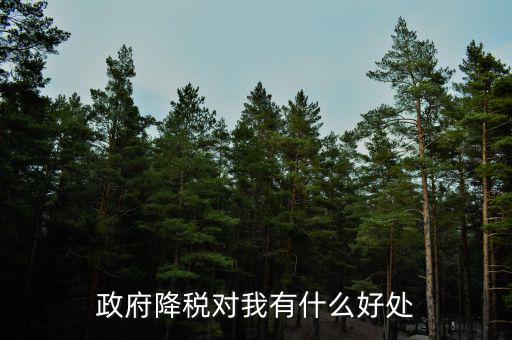 減稅有什么調(diào)節(jié)作用，政府降稅對(duì)我有什么好處