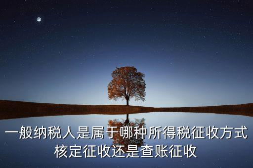 一般納稅人屬于什么，什么是一般納稅人