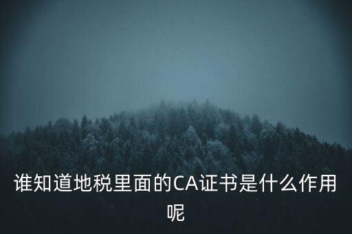 地稅的ca證書是什么，什么是聯(lián)通ca證書地稅ca證書