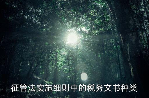 征管法實施細則中的稅務(wù)文書種類