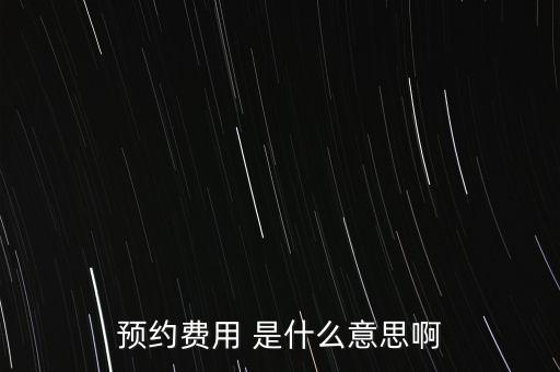 預約費用 是什么意思啊