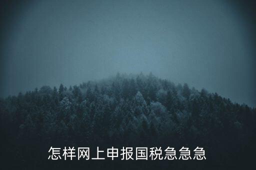 怎樣網(wǎng)上申報國稅急急急