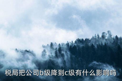 稅局把公司b級(jí)降到c級(jí)有什么影響嗎