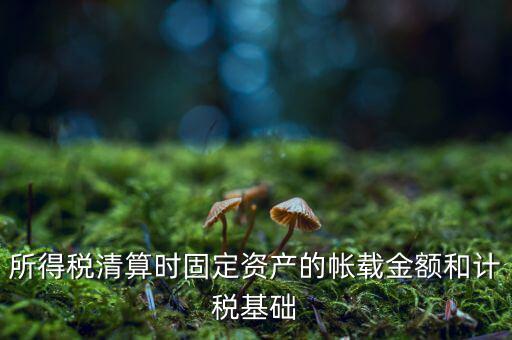 所得稅清算時固定資產(chǎn)的帳載金額和計(jì)稅基礎(chǔ)