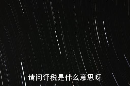 請問評稅是什么意思呀