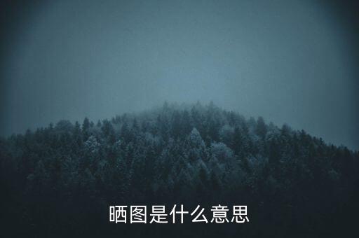 曬圖是什么意思