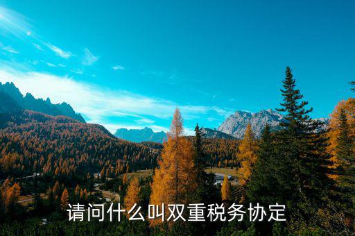 請問什么叫雙重稅務(wù)協(xié)定