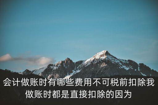 什么不可以稅前扣除嗎，納稅人哪些支出不能在企業(yè)所得稅前扣除