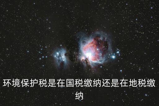 什么是環(huán)境保護稅納稅人，環(huán)境稅是什么意思