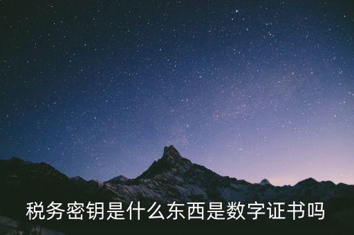 稅務密鑰是什么東西是數(shù)字證書嗎