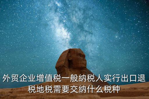 外貿(mào)企業(yè)增值稅一般納稅人實(shí)行出口退稅地稅需要交納什么稅種