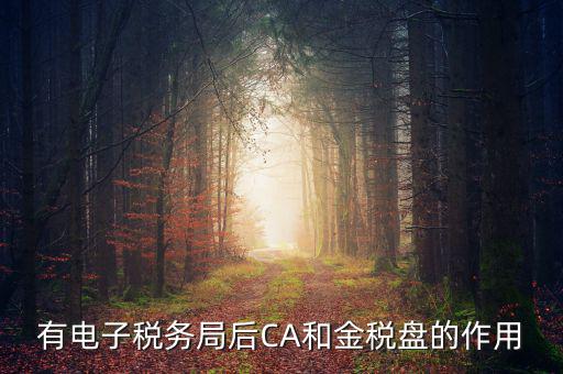 電子稅務(wù)局有什么用，有電子稅務(wù)局后CA和金稅盤的作用