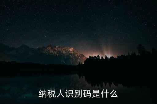 網(wǎng)上報(bào)稅納稅人識(shí)別碼是什么，納稅人識(shí)別碼是什么