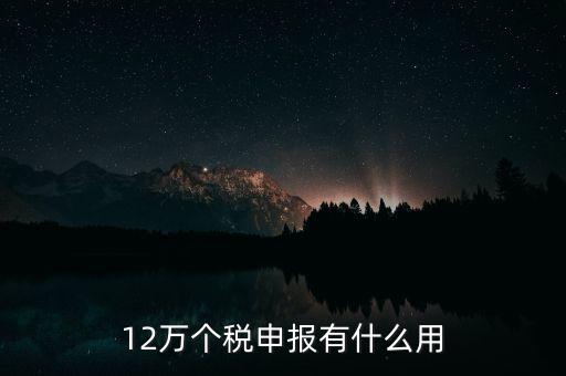 12萬個稅申報有什么用