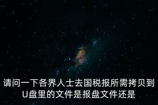 請(qǐng)問一下各界人士去國稅報(bào)所需拷貝到U盤里的文件是報(bào)盤文件還是