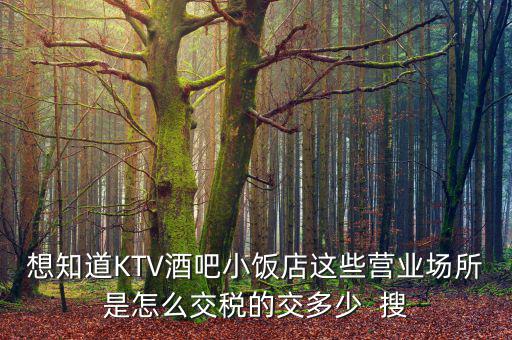 ktv交納什么稅，想知道KTV酒吧小飯店這些營業(yè)場所是怎么交稅的交多少  搜