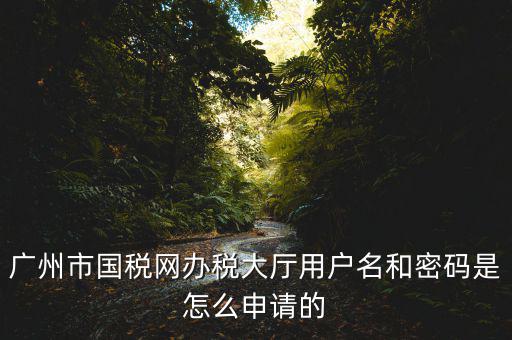 廣州國稅官網登錄密碼是什么原因，國稅第一次網上申報的登陸密碼是什么