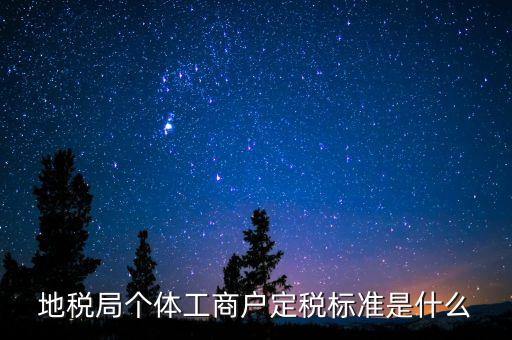 地稅局個(gè)體工商戶定稅標(biāo)準(zhǔn)是什么