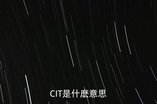 CIT是什麼意思