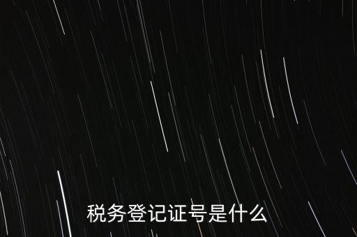 稅務登記證號是什么