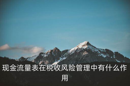 現(xiàn)金流量表在稅收風(fēng)險(xiǎn)管理中有什么作用