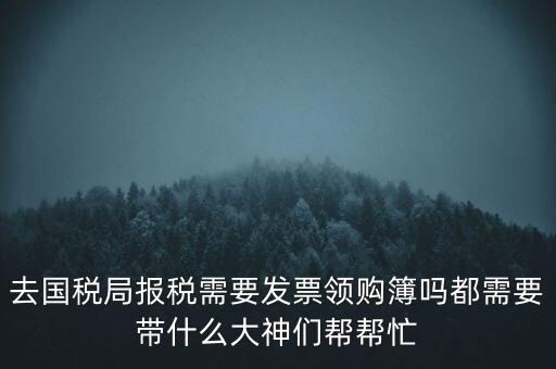 去國稅局報(bào)稅需要發(fā)票領(lǐng)購簿嗎都需要帶什么大神們幫幫忙