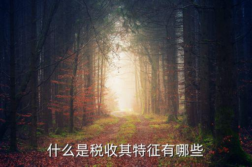 稅收的特點是什么意思，稅收的實質(zhì)和特征