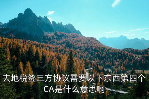 稅務局ca是什么意思，去地稅簽三方協(xié)議需要以下東西第四個CA是什么意思啊