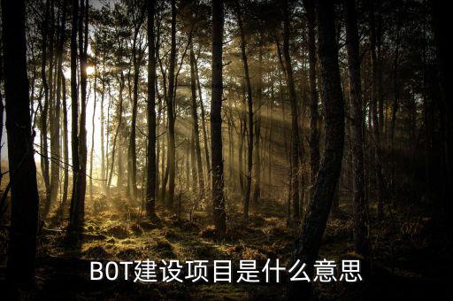 B0T建設(shè)項(xiàng)目是什么意思