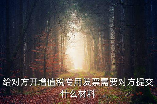 開專票要什么資料，加油卡開增值稅專用發(fā)票需要什么資料