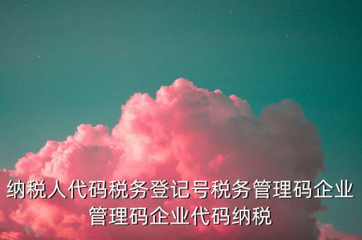 納稅人代碼稅務登記號稅務管理碼企業(yè)管理碼企業(yè)代碼納稅