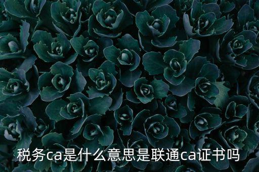 稅務(wù)ca是什么意思是聯(lián)通ca證書(shū)嗎