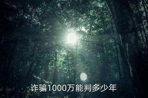 騙稅1000萬什么罪，偷稅漏稅1000萬什么罪