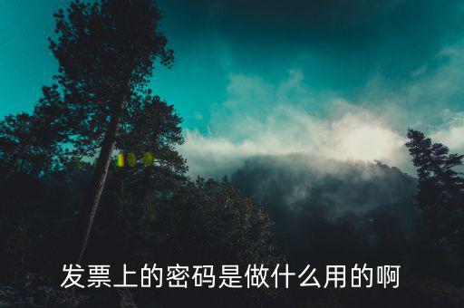 發(fā)票上的密碼是干什么的，發(fā)票上的密碼是做什么用的啊