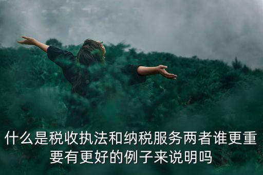 什么是稅收?qǐng)?zhí)法和納稅服務(wù)兩者誰更重要有更好的例子來說明嗎