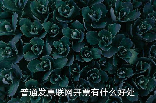 普通發(fā)票聯(lián)網開票有什么好處