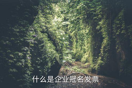 冠名發(fā)票屬于什么發(fā)票，什么是企業(yè)冠名發(fā)票