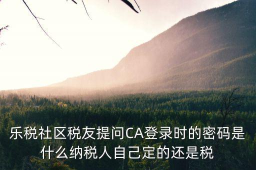 樂稅社區(qū)稅友提問CA登錄時(shí)的密碼是什么納稅人自己定的還是稅