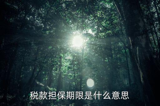 納稅擔(dān)保人什么意思，稅款擔(dān)保期限是什么意思