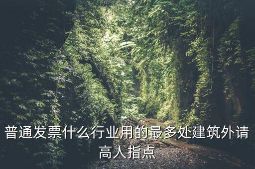 普通發(fā)票什么行業(yè)用的最多處建筑外請高人指點(diǎn)