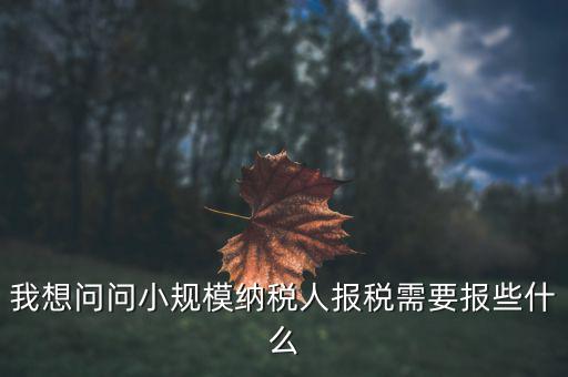 小規(guī)模國稅申報些什么，小規(guī)模納稅人國稅需要報什么資料