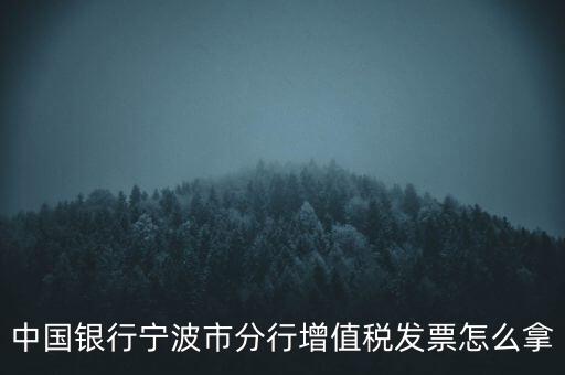 寧波國稅過發(fā)票要帶什么，浙江地區(qū)公司首次拿發(fā)票去國稅局需要帶什么證件