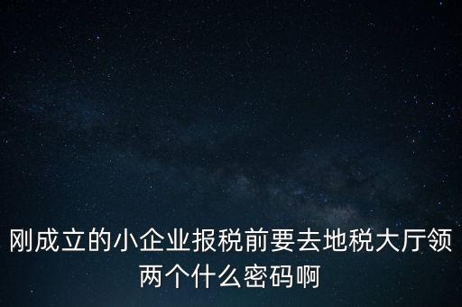 繳稅服務(wù)廳口令輸什么，剛成立的小企業(yè)報(bào)稅前要去地稅大廳領(lǐng)兩個(gè)什么密碼啊