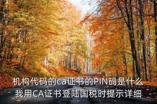 國稅ca證書登錄 密碼是什么，國稅第一次網(wǎng)上申報(bào)的登陸密碼是什么